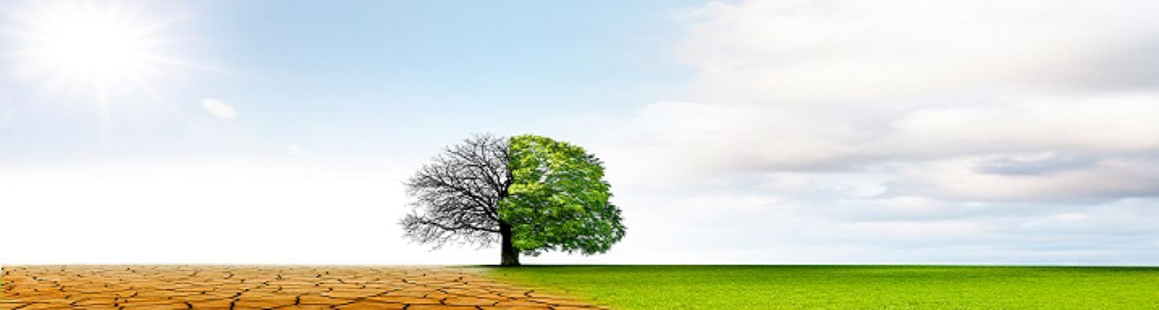 Corporate Banner