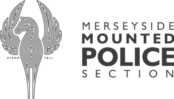 Charities Trust Stand Tall Foundation